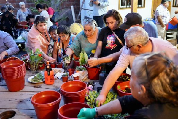 Dirigentes y dirigentas sociales participan de taller de Salud Mental y Cuidado de Plantas