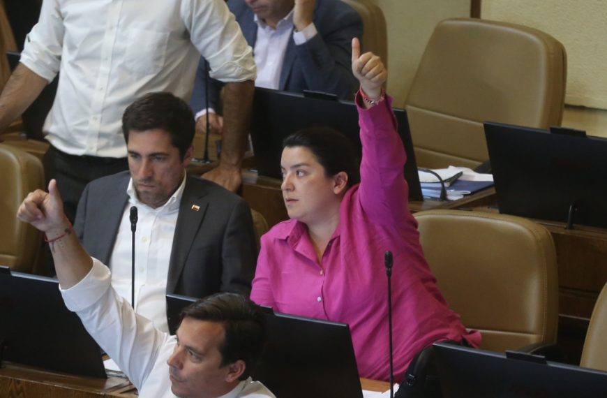 Aprueban proyecto de la diputada Natalia Romero que busca proteger a las víctimas de violencia intrafamiliar en las relaciones de pololeo